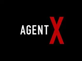 AgentX
